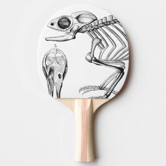  hagedisskelet tafeltennisbatje (Voorkant)