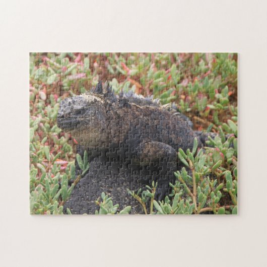 hagedisspuzzel legpuzzel (Horizontaal)