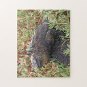 hagedisspuzzel legpuzzel (Verticaal)