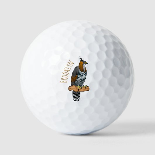 hagelvogel cartoon illustratie golfballen (Voorkant)