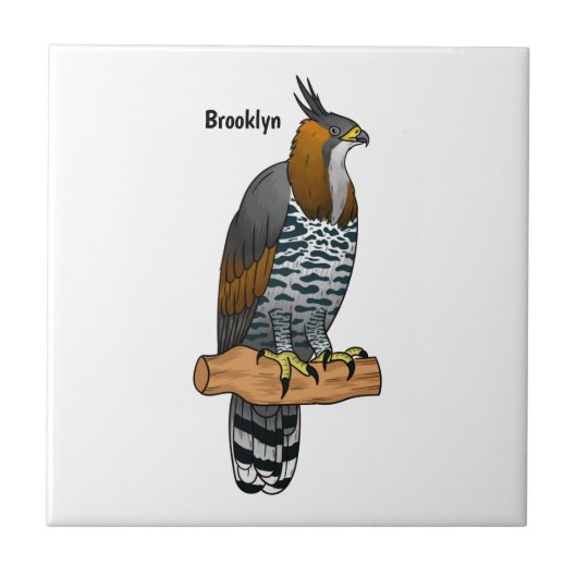  hagelvogel cartoon illustratie tegeltje (Voorkant)