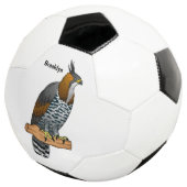 hagelvogel cartoon illustratie voetbal (Drie kwart)