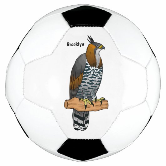 hagelvogel cartoon illustratie voetbal (Voorkant)