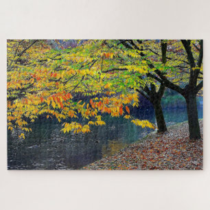 Hagley Park ChristChurch Nieuw-Zeeland Legpuzzel