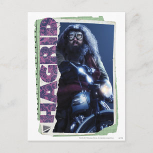 Hagrid Briefkaart