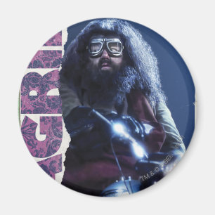 Hagrid Magneet