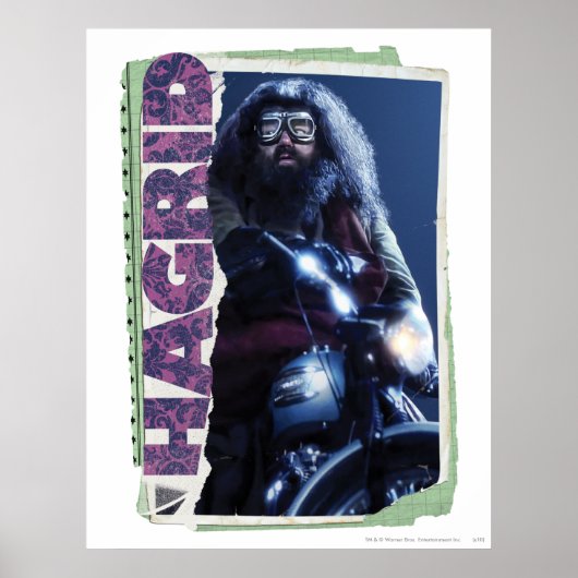 Hagrid Poster (Voorkant)