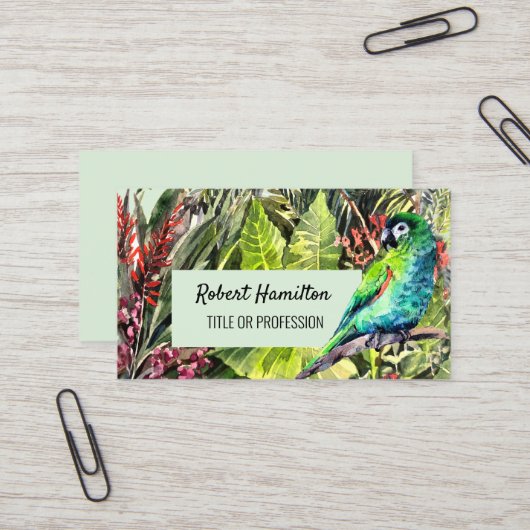 Hahn's Macaw papegaai waterverf schilderij Visitekaartje (Voorkant / Achterkant in situ)