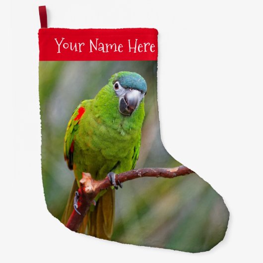 Hahn's Mini Macaw / Macaw met schouderklopjes Grote Kerstsok (Voorkant)