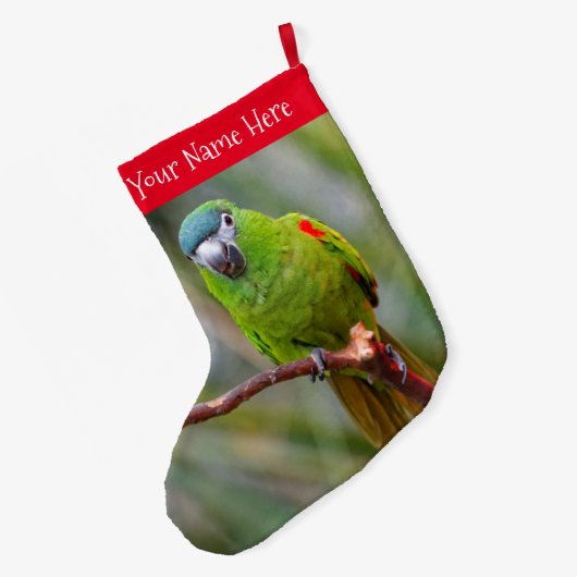 Hahn's Mini Macaw / Macaw met schouderklopjes Grote Kerstsok (Achterkant (Hangend))