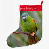 Hahn's Mini Macaw / Macaw met schouderklopjes Grote Kerstsok (Achterkant)