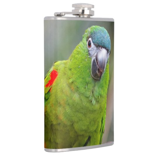 Hahn's Mini Macaw / Macaw met schouderklopjes Heupfles (Rechts)