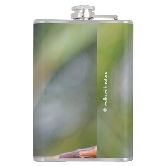 Hahn's Mini Macaw / Macaw met schouderklopjes Heupfles (Achterkant)