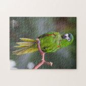 Hahn's Mini Macaw / Macaw met schouderklopjes Legpuzzel (Horizontaal)