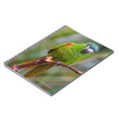 Hahn's Mini Macaw / Macaw met schouderklopjes Notitieboek (Linkerzijde)
