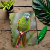 Hahn's Mini Macaw / Macaw met schouderklopjes Notitieboek
