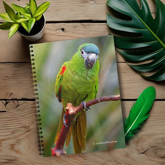 Hahn's Mini Macaw / Macaw met schouderklopjes Notitieboek