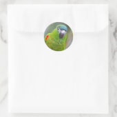 Hahn's Mini Macaw / Macaw met schouderklopjes Ronde Sticker (Tas)