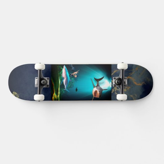 Hai auf Skateboard (Horizontaal)