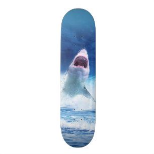 HAI FILM SKATEBOARDS