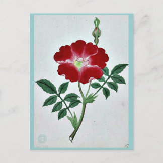 Hai kai kuwa - March-April Ukiyo-e. Briefkaart