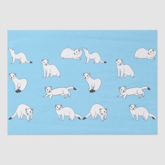 Haida Ermines Tissuepapier (Voorkant)