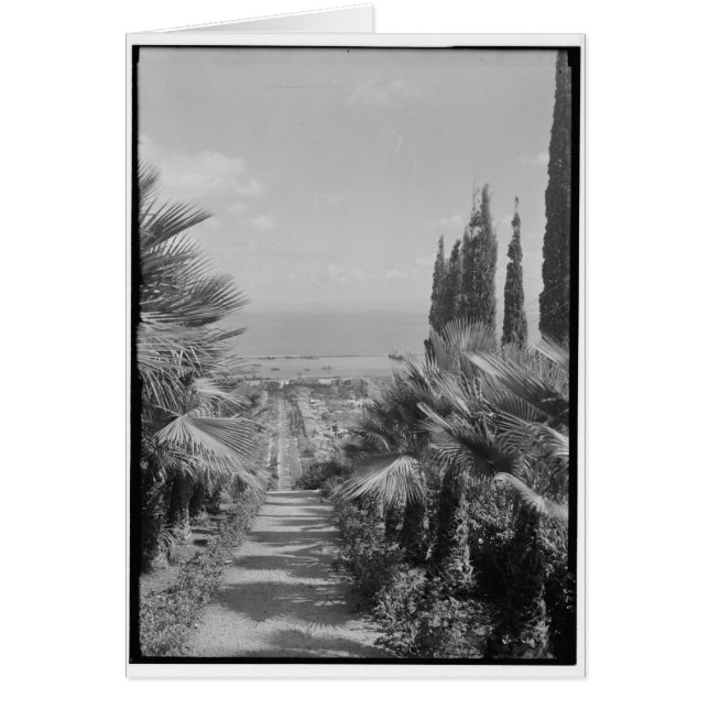 Haifa - van Mt. Carmel, ca. 1920 (Voorkant)