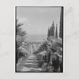 Haifa - van Mt. Carmel, jaren 20 Briefkaart
