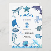 Haifijn Verjaardagsfeestje Onder de Zee Kaart (Voorkant / Achterkant)