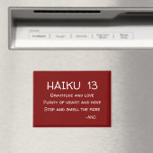 HAIKU 13 MAGNEET (Insitu (Vaatwasser))