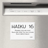 HAIKU 16 MAGNEET (Insitu (Vaatwasser))