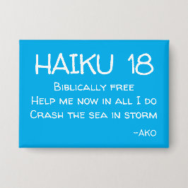 HAIKU 18 BUTTON