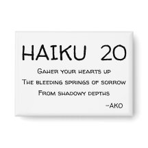HAIKU 20
