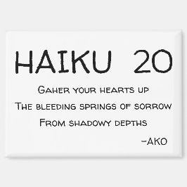 HAIKU 20 MAGNEET