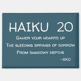 HAIKU 20 MAGNEET