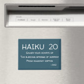 HAIKU 20 MAGNEET (Insitu (Vaatwasser))