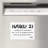 HAIKU 21 MAGNEET (Insitu (Vaatwasser))