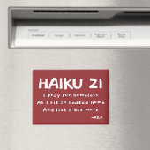 HAIKU 21 MAGNEET (Insitu (Vaatwasser))