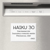 HAIKU 30 MAGNEET (Insitu (Vaatwasser))