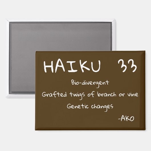 HAIKU 33 MAGNEET (Voorkant / Achterkant)