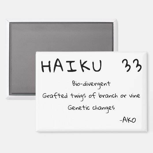 HAIKU 33 MAGNEET (Voorkant / Achterkant)