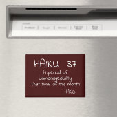 HAIKU 37 MAGNEET (Insitu (Vaatwasser))