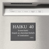 HAIKU 40 MAGNEET (Insitu (Vaatwasser))