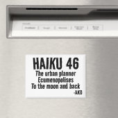 HAIKU 46 MAGNEET (Insitu (Vaatwasser))