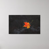 "Haiku" gewikkeld canvas (Voorkant)