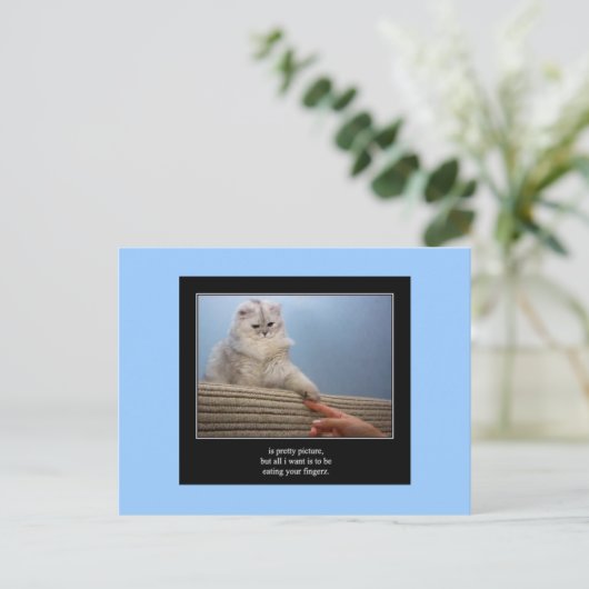 haiku kat 14 briefkaart (Staand voorkant)