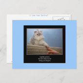 haiku kat 14 briefkaart (Voorkant / Achterkant)