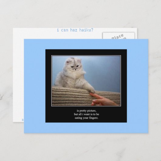 haiku kat 14 briefkaart (Voorkant / Achterkant)