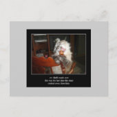 haiku kat 15 briefkaart (Voorkant)