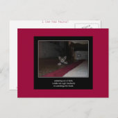 haiku kat 1 briefkaart (Voorkant / Achterkant)